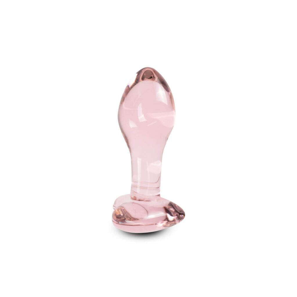 Plug Anal Hari